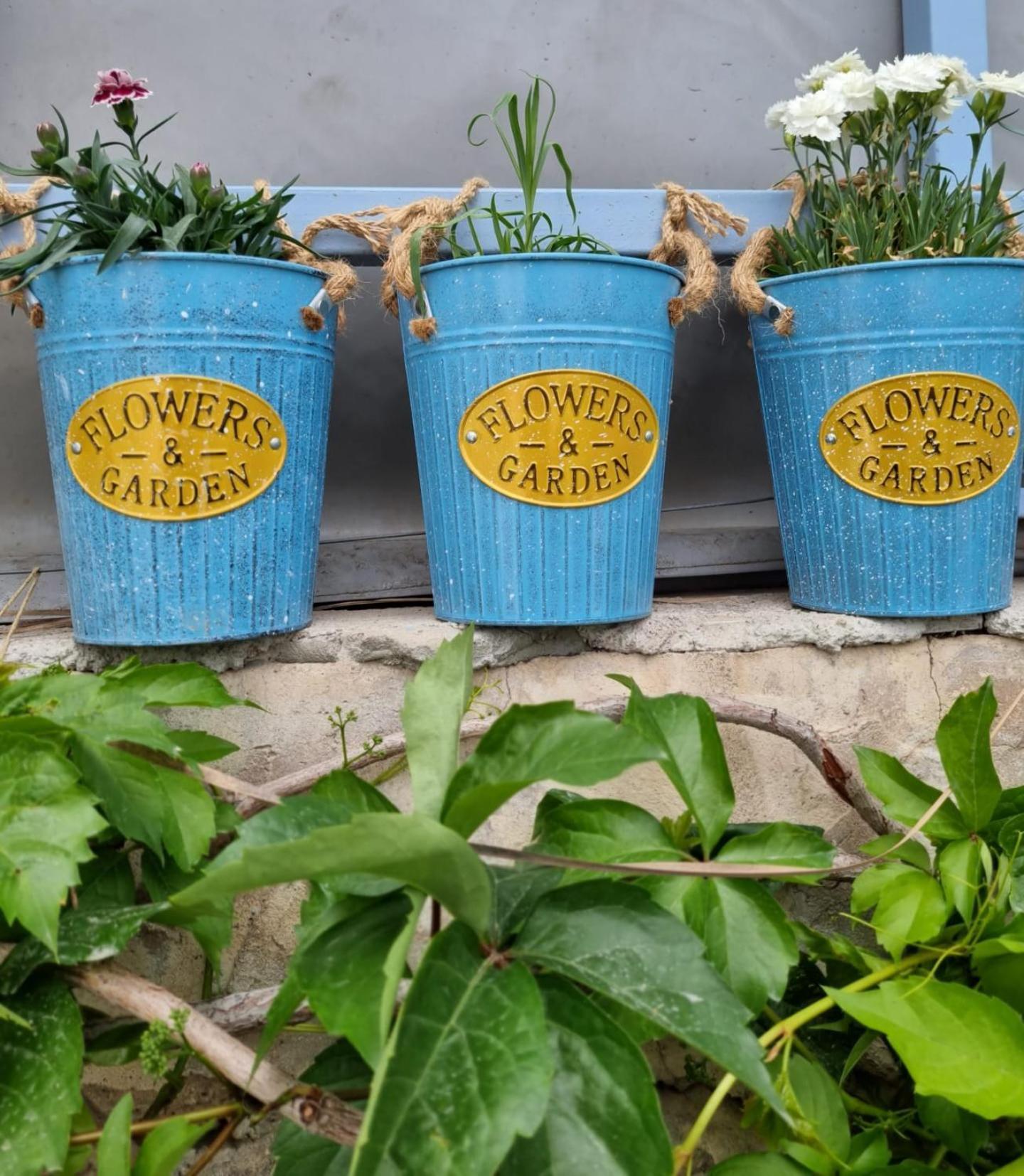 Olea Sigacik Pansiyon & Bistro Seferihisar Εξωτερικό φωτογραφία