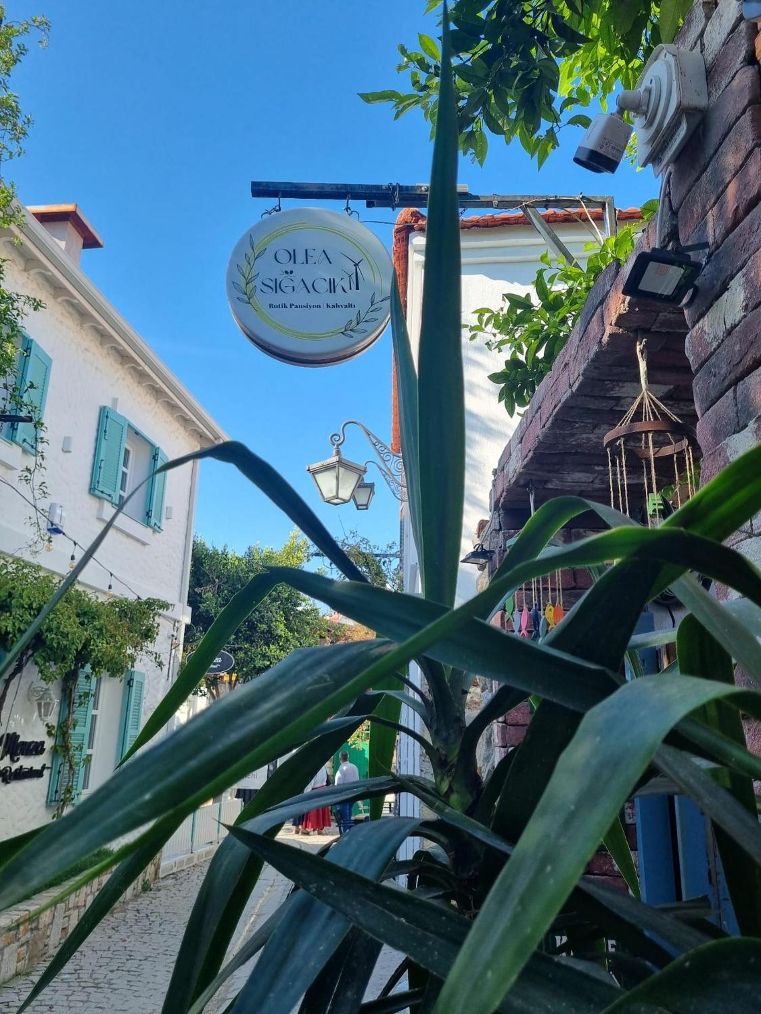 Olea Sigacik Pansiyon & Bistro Seferihisar Εξωτερικό φωτογραφία