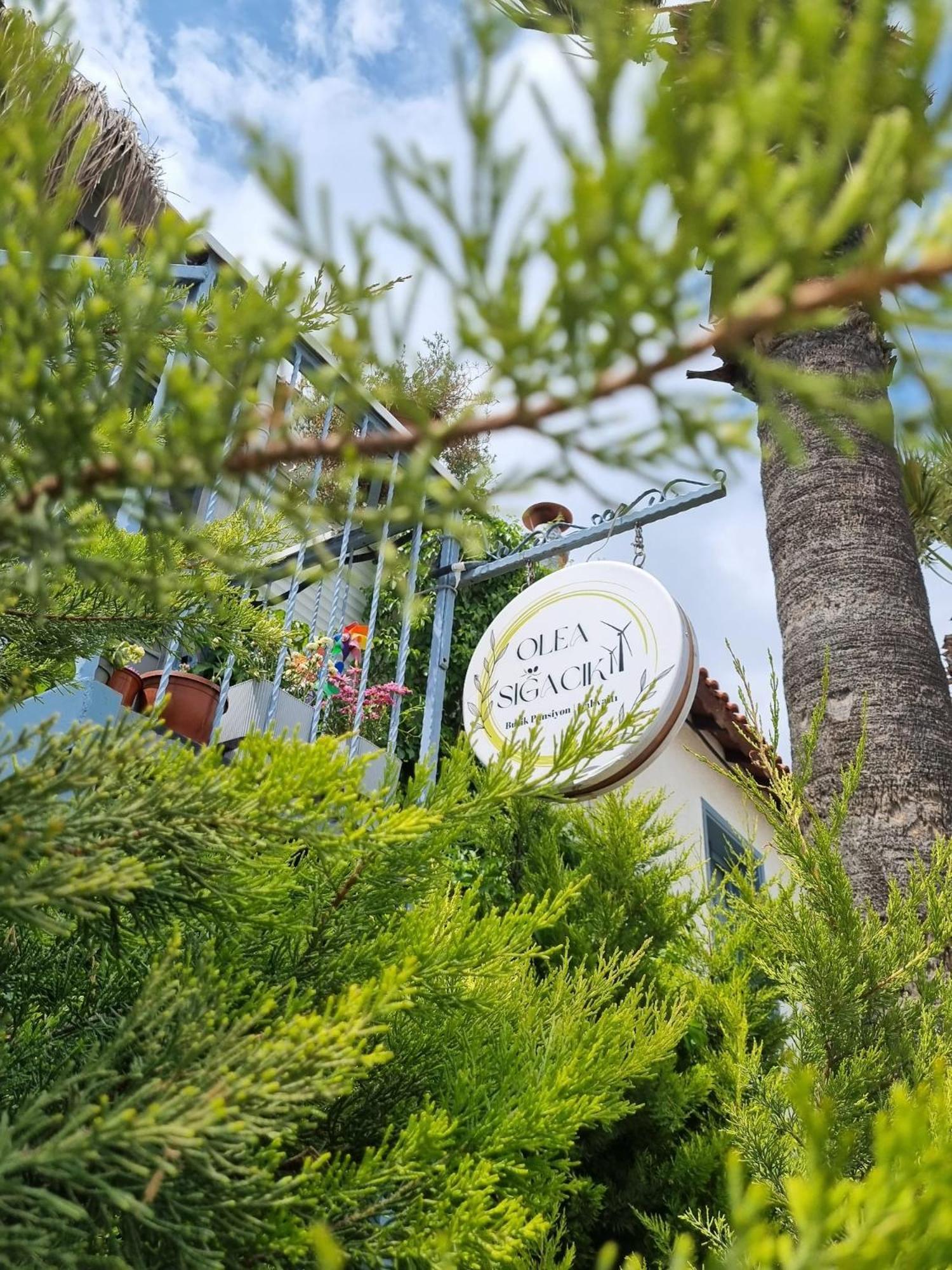 Olea Sigacik Pansiyon & Bistro Seferihisar Εξωτερικό φωτογραφία
