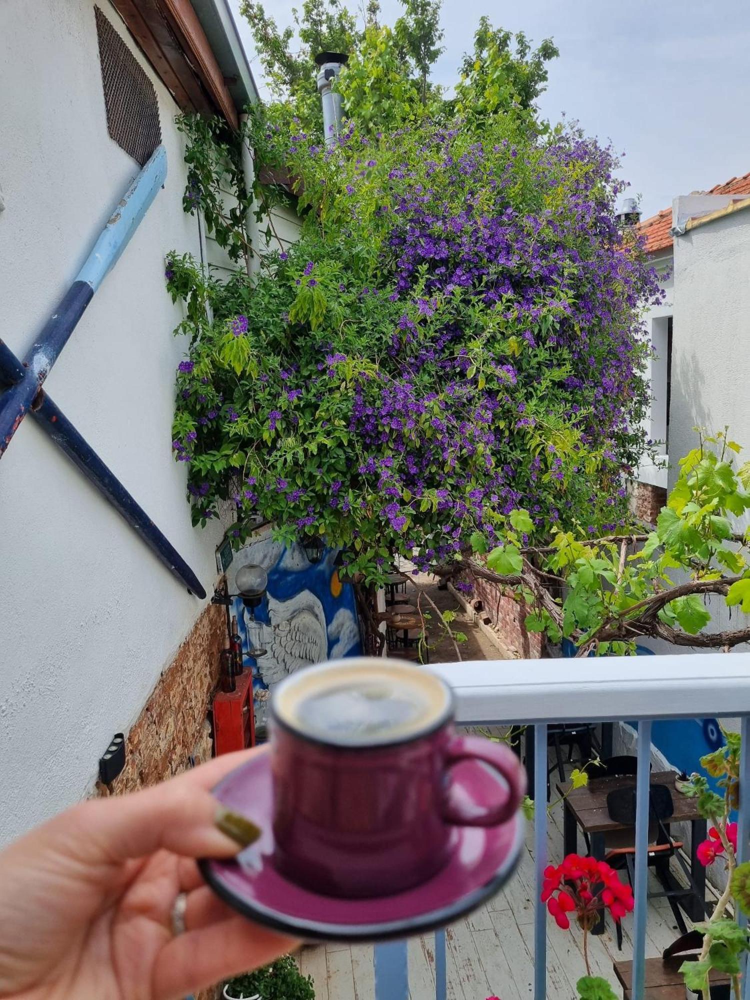Olea Sigacik Pansiyon & Bistro Seferihisar Εξωτερικό φωτογραφία